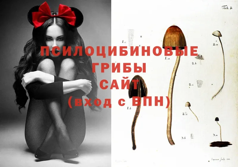 Галлюциногенные грибы Magic Shrooms  Серпухов 